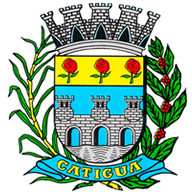 Brasão de Câmara Catiguá